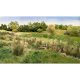 Woodland WFG171 Hohes Gras , gelb - gold