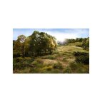 Woodland WFS625 12mm Grasfasern dunkelgr&uuml;n