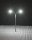 Faller 272221 N LED-Peitschenlampe, 2-flammig
