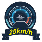 Mad Shark F1 V3 RC Rennboot RTR 2.4GHz 25km/h komplett RTR