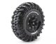 Louise CR-Champ 2,2 supersoft Crawler Reifen mit Einlage 2 St.