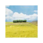 Faller 181356 4 PREMIUM 4 Hecken, hellgrün