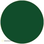 ORALINE Zierstreifen grün  - Breite: 3 mm -...