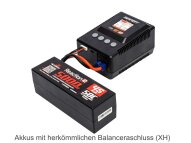 Spektrum S155 G2 1x55W AC Smart Charger Ladeger&auml;t