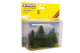 Noch 25432 Tannen Spur N