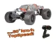 DF-Models Z-10 Competition Truck BL 1:10XL brushless