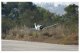 MODSTER Focke Wulf FW190 PNP 1200mm Elektromotor Warbird
