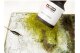 Noch 61130 Gras-Kleber 250g