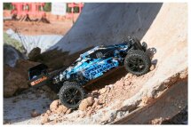 DF-Models RC Buggy 1:10 SpeedSlugger 4WD mit Alu-Chassis RTR