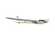 E-flite Conscendo Evolution 1.5m BNF Basic AS3X SAFE