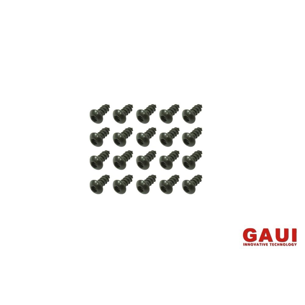 GAUI X3 Schraubenset selbstschneident 2x5 (20STK)