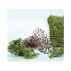 Heki 1530 - 15 Büsche 2-6 cm + HEKI flor