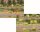 Heki 1804 - 100 Grasbüschel gelb/rot, gemischt,  5-6 mm