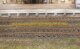 Heki 1810 - 10 Grasstreifen Frühling, 100 mm lang, 6 mm hoch