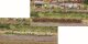 Heki 1815 - 10 Grasstreifen weiß-erika, 100 mm lang, 6 mm hoch