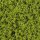 Heki 1550 - HEKI flor Belaubungsvlies hellgrün 28x14 cm