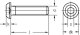 Innensechskantschrauben Linsenkopf M3x6 ISO 7380-1 schwarz brüniert 10.9 (10Stk.)